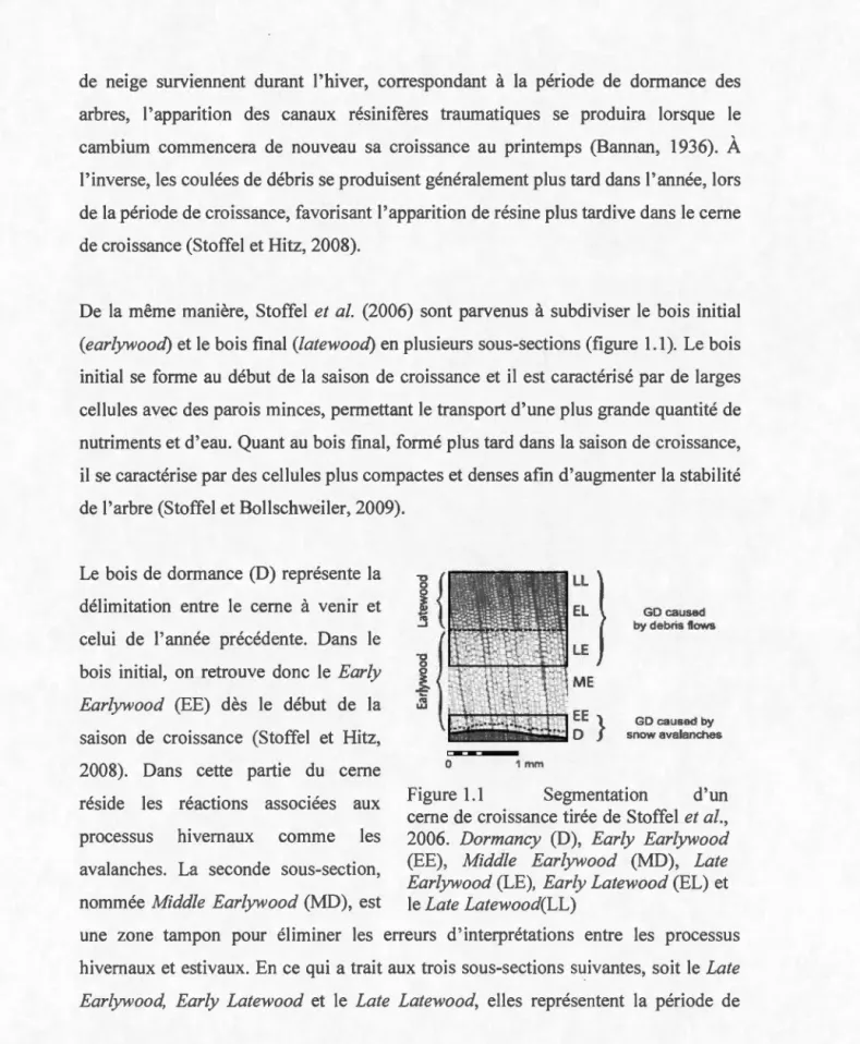 Figure  1 . 1  Segmentation  d ' un  cerne  de  croissance  tirée  de  Stoffel  et al