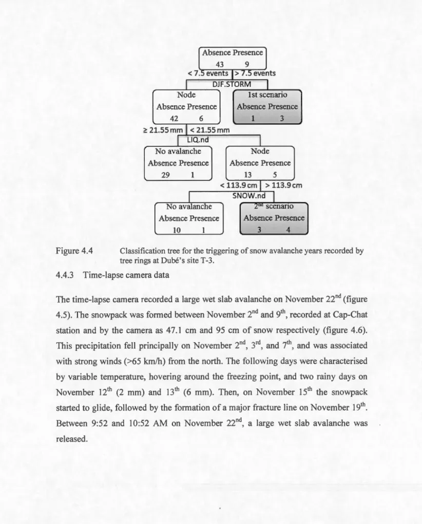 Figure 4.4  Absence Presence  1 43 9 &lt; 7.5 events &gt; 7.5 eve nts 1 DJF.STORM 1 Node  lst scenario 