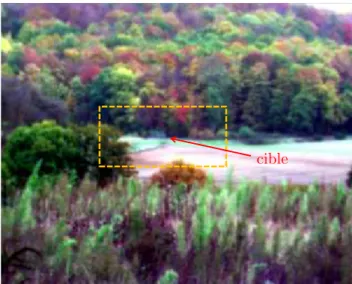 Figure 1.7.: Repr´esentation trichrome de l’image multispectrale de la sc`ene observ´ee.