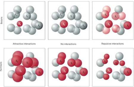 Figure 1.2: Qualitative eﬀect of weak interactions on the localization properties of Bose and Fermi gases