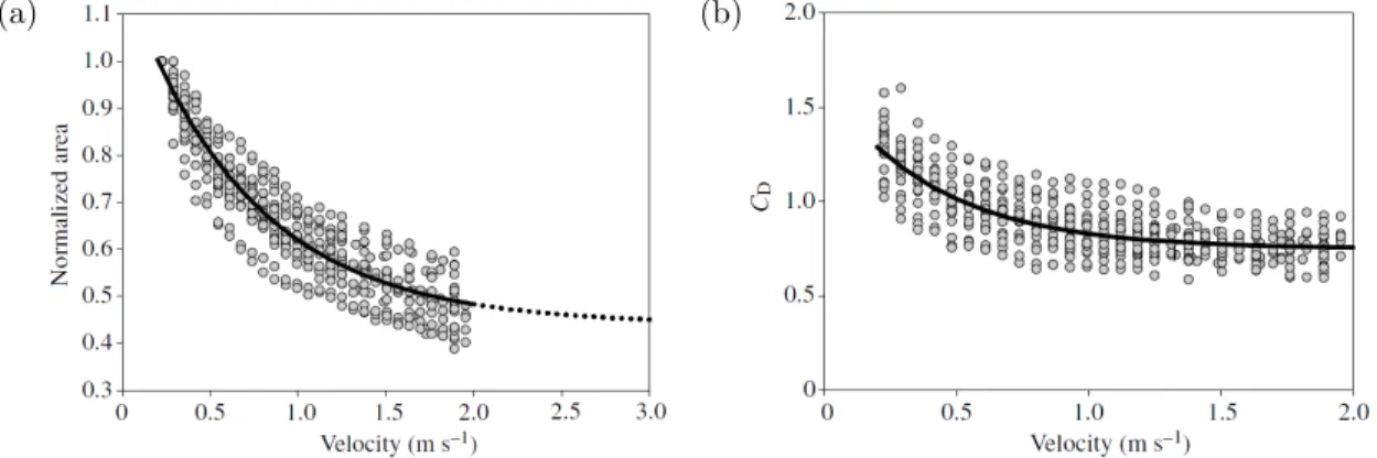 Figure 1.3: Variations with the flow velocity of (a) the frontal area normalized by the frontal area at rest and (b) the drag coefficient, for algaes Chondrus crispus in a water flume, from Boller and Carrington (2006).