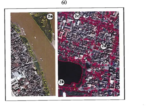 figure 3.6. Sites de test pour la c]asse « végétation»: 2a) Agricu]ture, 2b) Arbres de parc, 2c) Arbre de rues et 2d) Arbres isolés