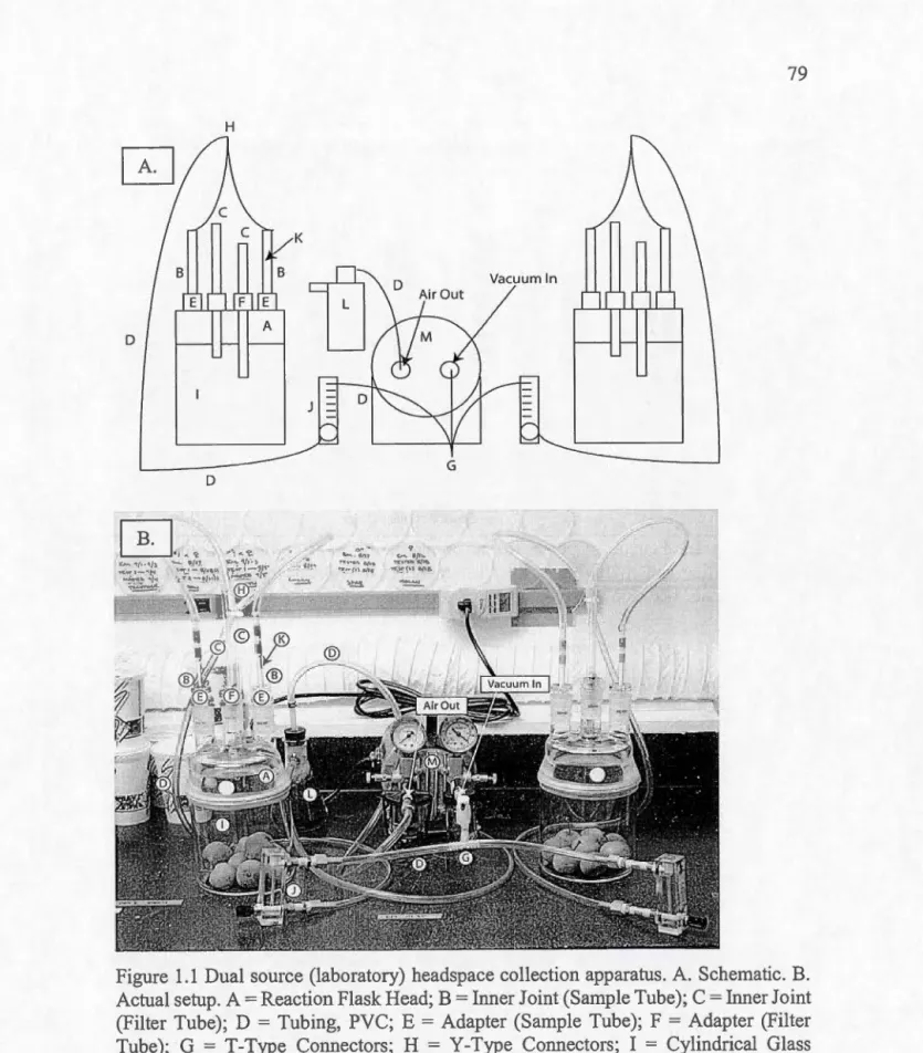 Figure  1.1  Dual source  (laboratory)  headspace collection apparatus. A.  Schematic