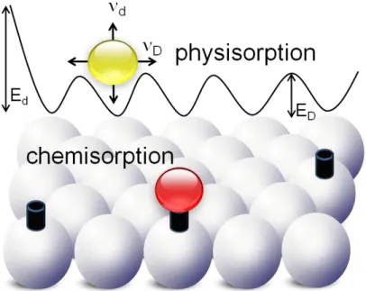 Figure 1. 1 Schematic representation of physisorption and chemisorption of atoms on the surface
