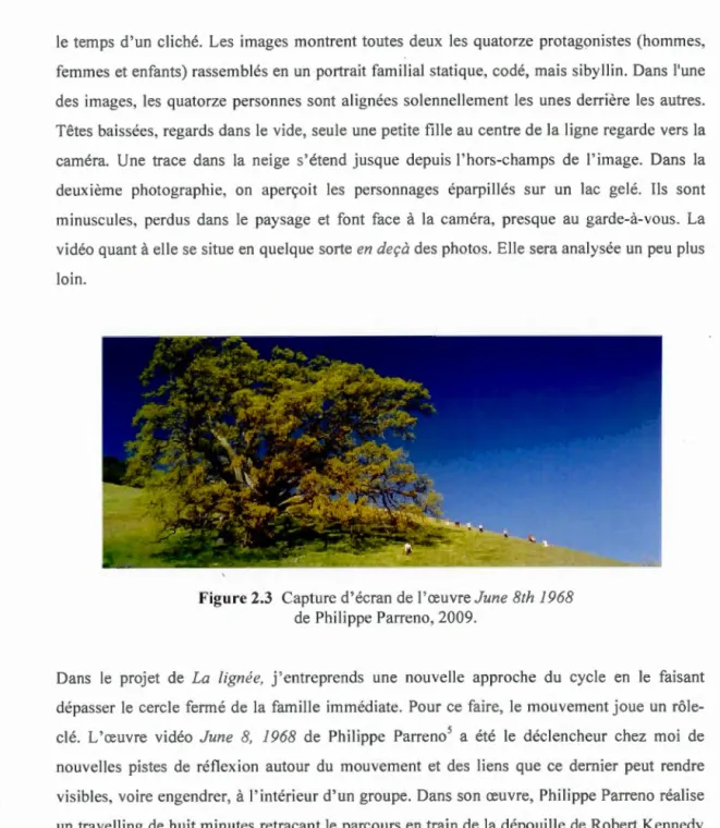 Figure  2.3  Ca ptur e  d ' éc r a n d e  l ' œ u v r e  J un e  8th  1968  d e  Philipp e  P a n · e n o ,  2 00 9 