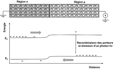 Figure I.2 – Mécanisme de recombinaison des porteurs de charge au niveau d’une jonction