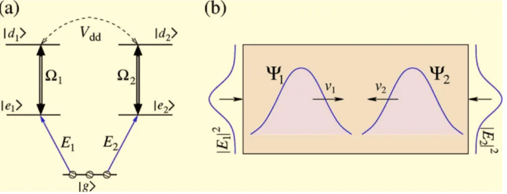 Figure 4: (a) Level scheme of atoms interacting with weak (quantum) elds E 1,2 on