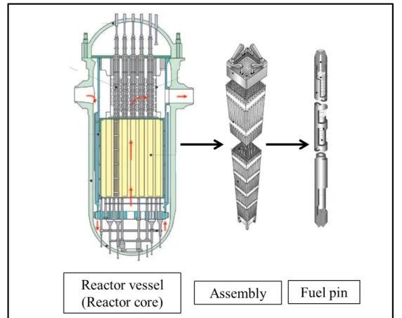 Figure 1.2. Pressurized Water Reactor vessel, reactor assembly and fuel rod