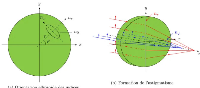 Figure II.7  Astigmatisme imposé par les contraintes pour un matériau isotrope et un pom- pom-page longitudinal.