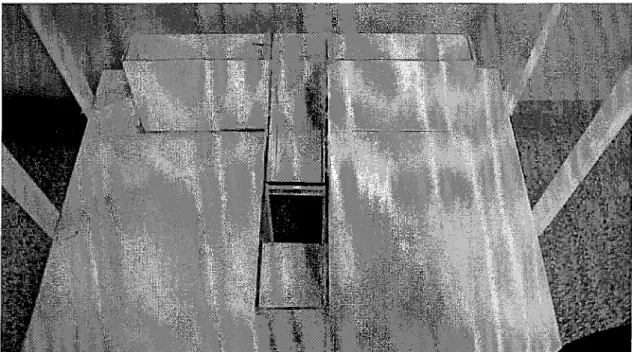 Figure 2 - Labyrinthe en T