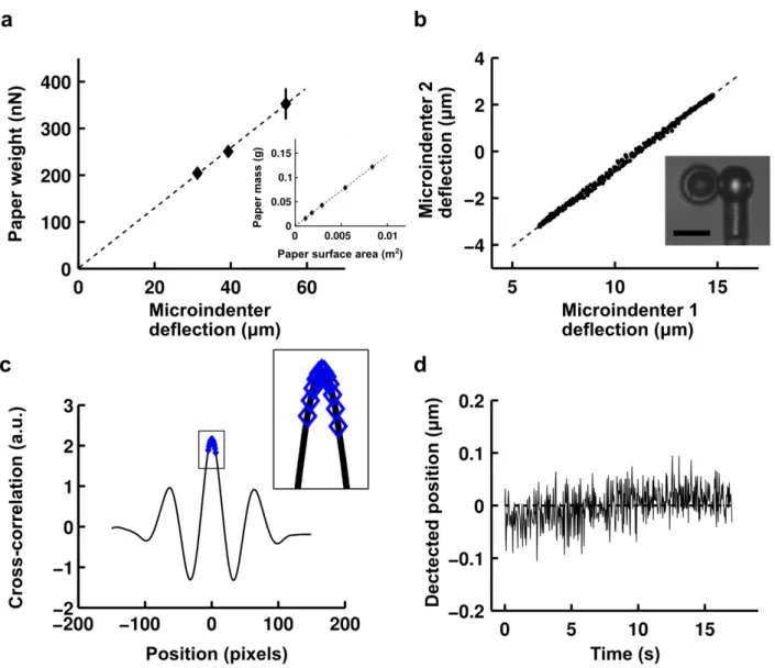 FIGURE  1.2:  Profile  microindentation  calibration  and  noise  level.  (a)  To  calibrate  a 