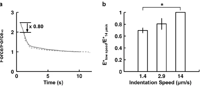 FIGURE  1.6:  Effect  of  indentation  speed  on  force  relaxation  and  apparent  stiffness