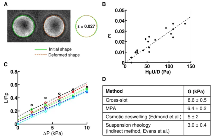 FIGURE  2.2:  Validation  of  cross-slot  mechanical  measurements  with  cross-linked 
