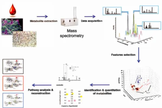 Figure  1.3  Workflow ofMS -based untar g eted metabolomics (Lee  e t al ., 2010) 