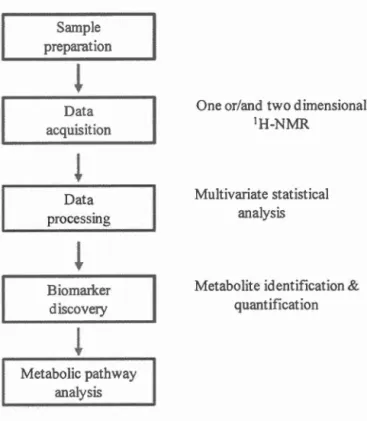 Figure  1.4  NMR-based  metabolomics  workflow 