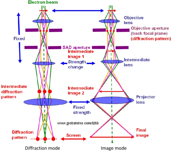 Figure 13. Schematic ray diagram showing a comparison of the lens conditions between diffraction and image  modes