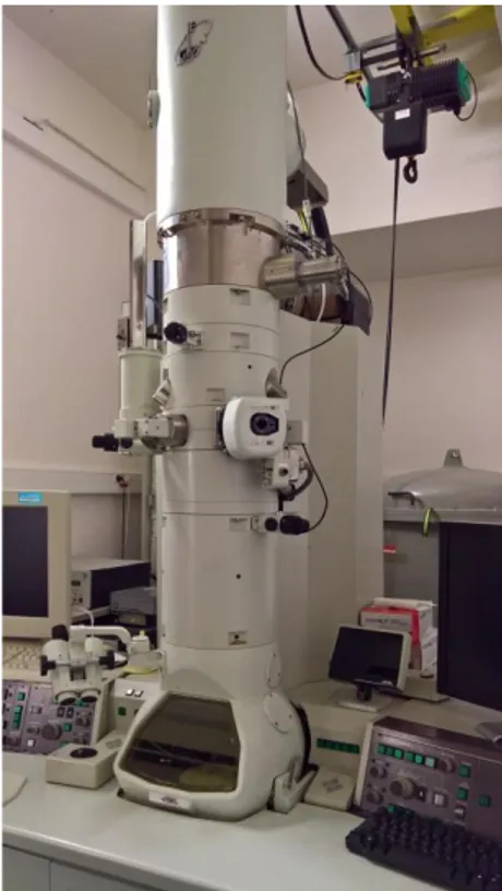 Figure 16. The JEOL 2010F microscope used in this doctoral work in the CIMEX.  2.2.1.5