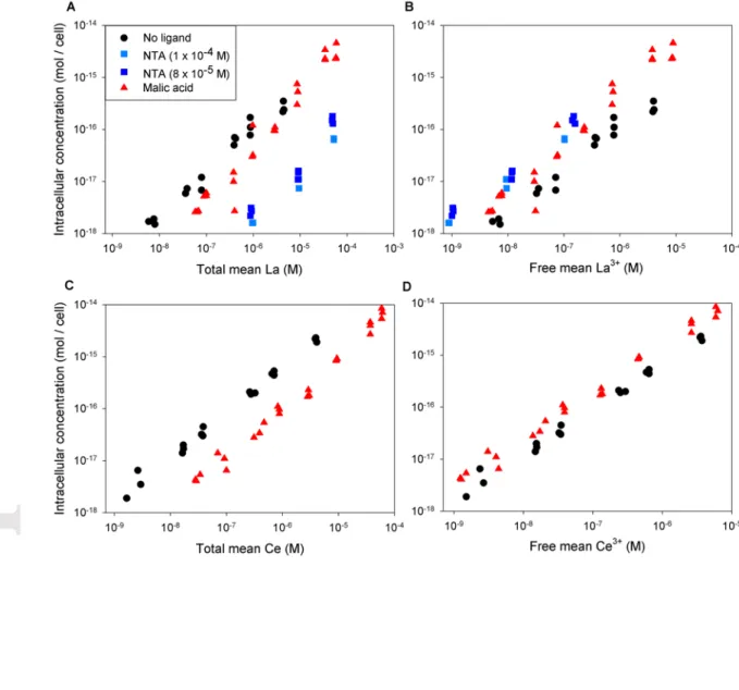 Figure 2. Intracellular La or Ce concentration after 120 h of exposure as a function of 