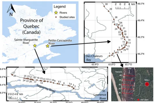 Figure 6 :  Sites map for the second data set on Sainte-Marguerite and Petite-Cascapedia Rivers