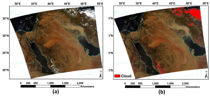 Fig. 6 Result of cloud masking (a), and the MODIS RGB image (b). 