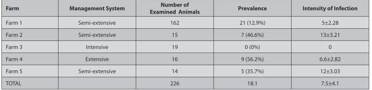 Table 2  shows the prevalence and intensity of infestation   in the five studied farms, along with the management  system in each of them