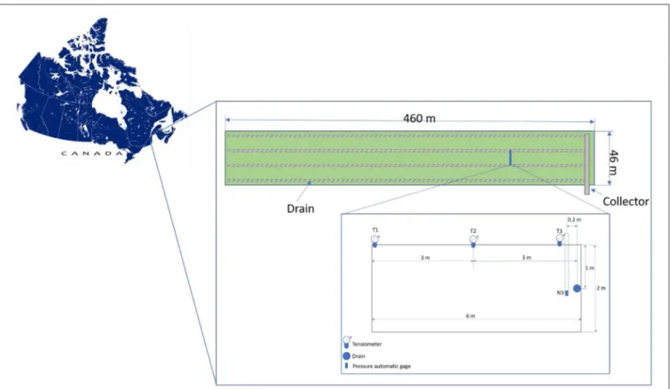FIGURE 1 | Site localization in Quebec (Canada) and location of the tensiometers (T1, T2, and T3 installed at 10 cm bellow the soil surface), the water table pressure gage (N3) and the drains within the cranberry field.