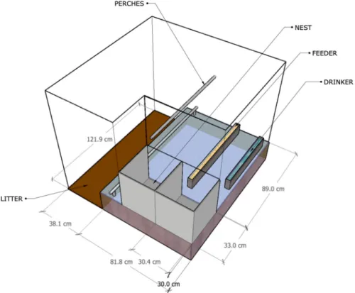 Figure 1. 3D layout of an experimental room. Figure 1.3D layout of an experimental room.