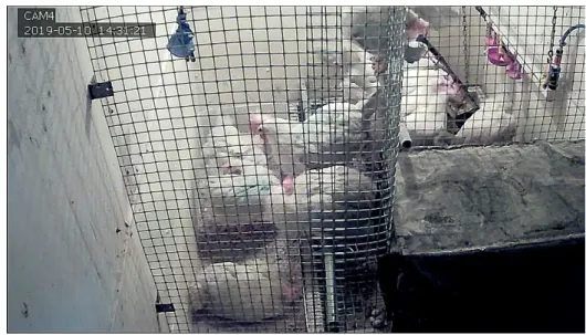 Figure 2. Video recording at an experimental room. 
