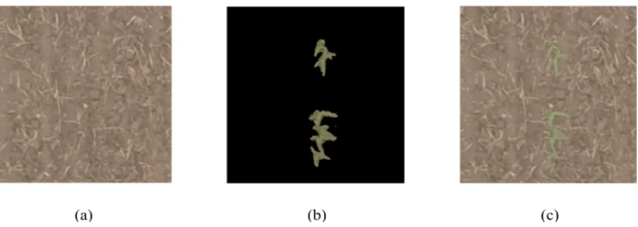 Figure 4. Steps of training image patch generation: (a) A sample generated background image; (b)  extracted and implanted single plants with normal shapes; (c) final generated training patch with a  combination of the generated background and single plant 