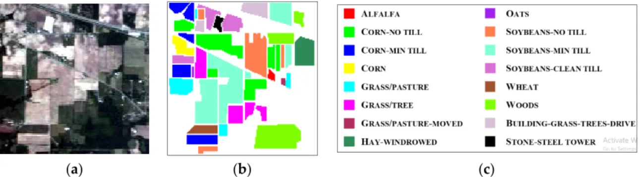 Figure 3. The 145 × 145 AVIRIS Indian Pine data set. (a) True color composite with bands R:26, G:14,  B:8