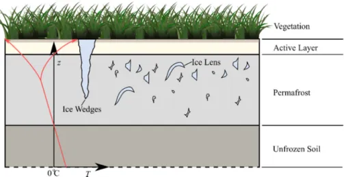 Figure 1. Vertical structure of permafrost soils. The red line shows a conceptual temperature profile 