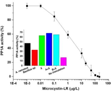 Fig. 6 ) alone increased PP activity to 63%. Co-culturing X with