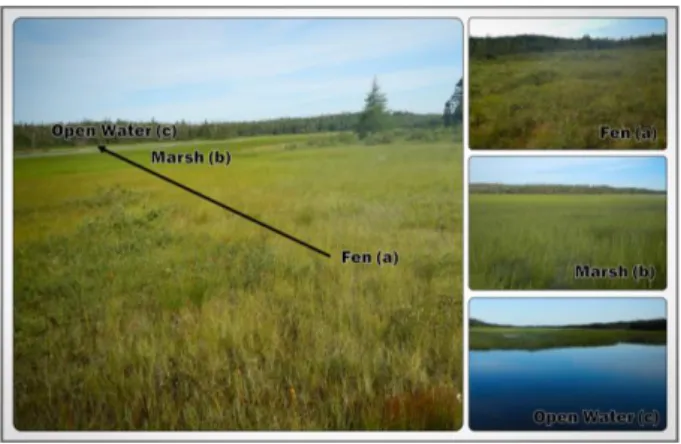 Figure  3.  A  fen  (a),  marsh  (b),  and  open-water  (c)  wetland  transition  near  Conne  River, 