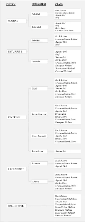Figure 4. Cowardin Wetland Classification System. 