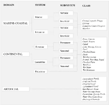 Figure 6. Mexican Wetland Classification System proposed by [111] (translation). 