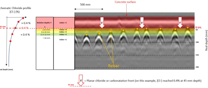 Figure 1: Example of reinforcement indexing from a radargram with respect to the chloride infiltration front  Each  NDT  map  can  thus  be  converted  into  an  individual  risk  index  matrix,  each  point  of  the  measurement grid containing values bet