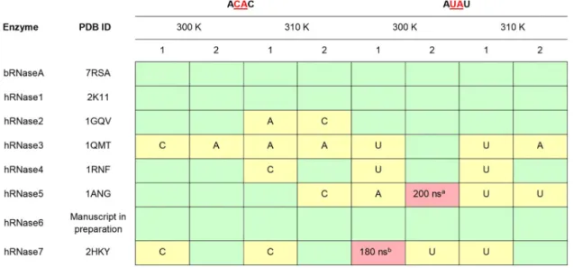 Fig 2. Stability of nucleotide substrates ACAC and AUAU in the active-site of RNases. Stable substrates in the active-site for