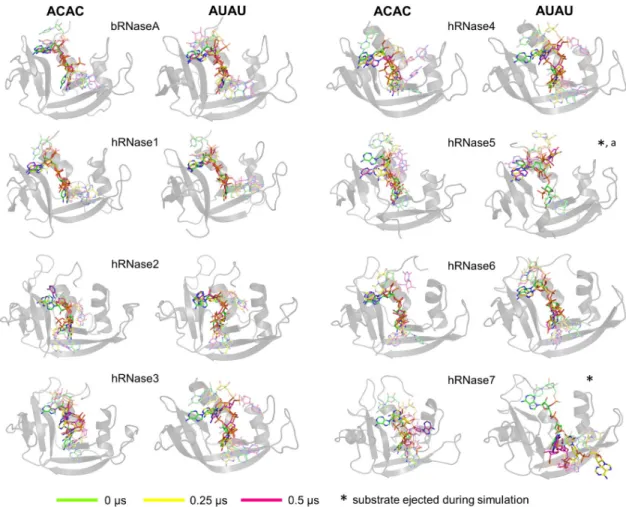 Fig 3. Substrate behavior over the course of 0.5 μs MD simulations. The enzymes are shown as gray cartoons and the 3
