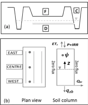 Figure  1.  Schematic  of  a  typical  cranberry  field:  (a):  Cranberry  field  cross-section  and  major  components  :  F=cranberry field, C=channel reservoir, D=drainage pipe; (b) plan view along with monitoring  sites (grey spots) and boundary fluxes