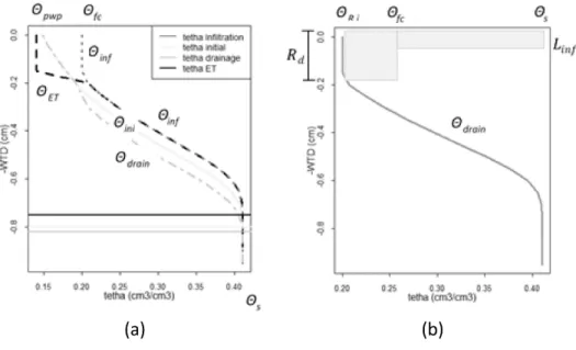 Figure 2. (a)Water table depth (WTD) and (b) root soil matric potential (RMAP) computational steps
