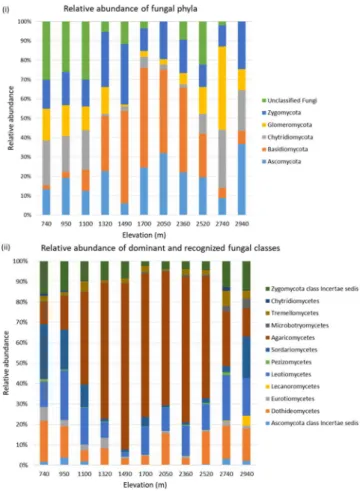 Figure 1.  Relative average abundances of fungal phyla (i) and dominant and recognized classes (ii) at different 
