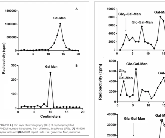 FIGURE 4 | Thin layer chromatography (TLC) of dephosphorylated [ 3 H]Gal-repeat units obtained from different L