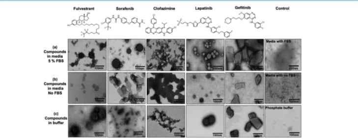 Figure 2. TEM images of four anticancer drugs (Fulvestrant, Sorafenib, Lapatinib, and Geﬁtinib), and an antileprosy drug (Clofazimine), (a) 50 μM of compounds incubated for 24 h in DMEM 5% FBS, or (b) in DMEM with no FBS, or (c) in phosphate buﬀer pH 7.4