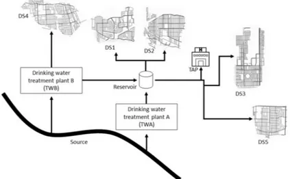 Figure 1. Schematic diagram of the drinking water distribution system sampled illustrating the  subsystems: Treated water (TW), distribution system (DS), and building plumbing (TAP)