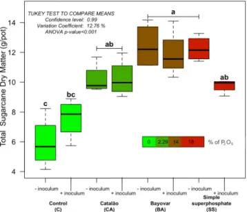 Figure 1.  Boxplot of total dry matter (gram per pot) of sugarcane plants across phosphate sources in the  presence or absence of mycorrhizal fungi inoculation