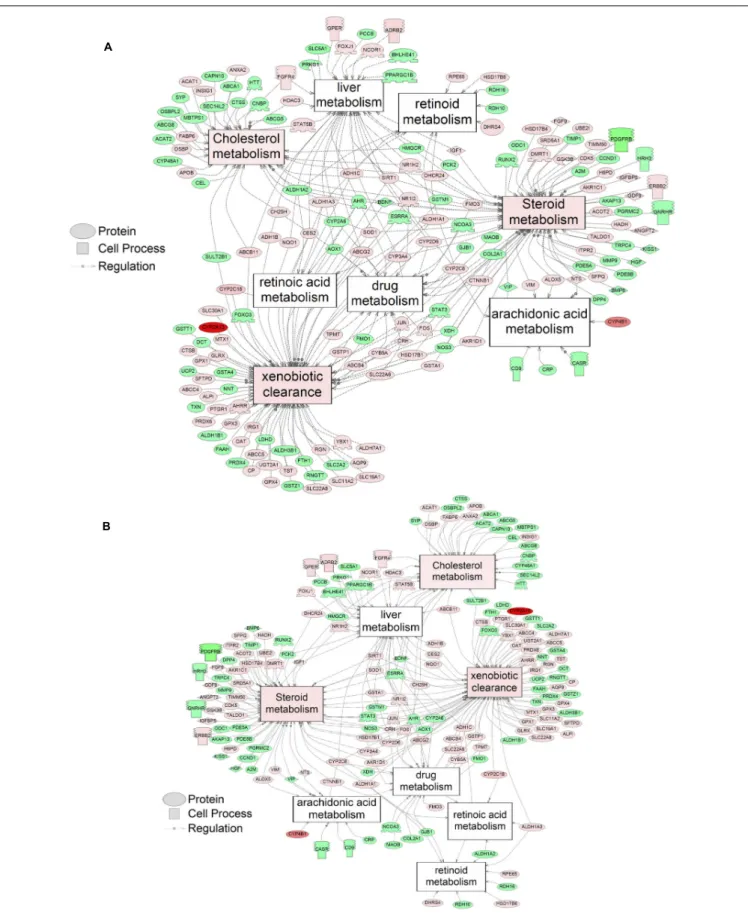 FIGURE 2 | Networks associated with metabolism indicating altered gene regulation following exposure of S
