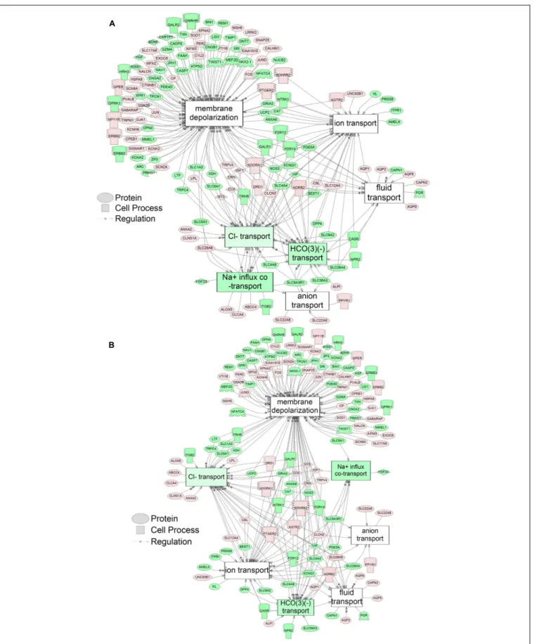 FIGURE 3 | Networks associated with membrane integrity indicating altered gene regulation following exposure of S