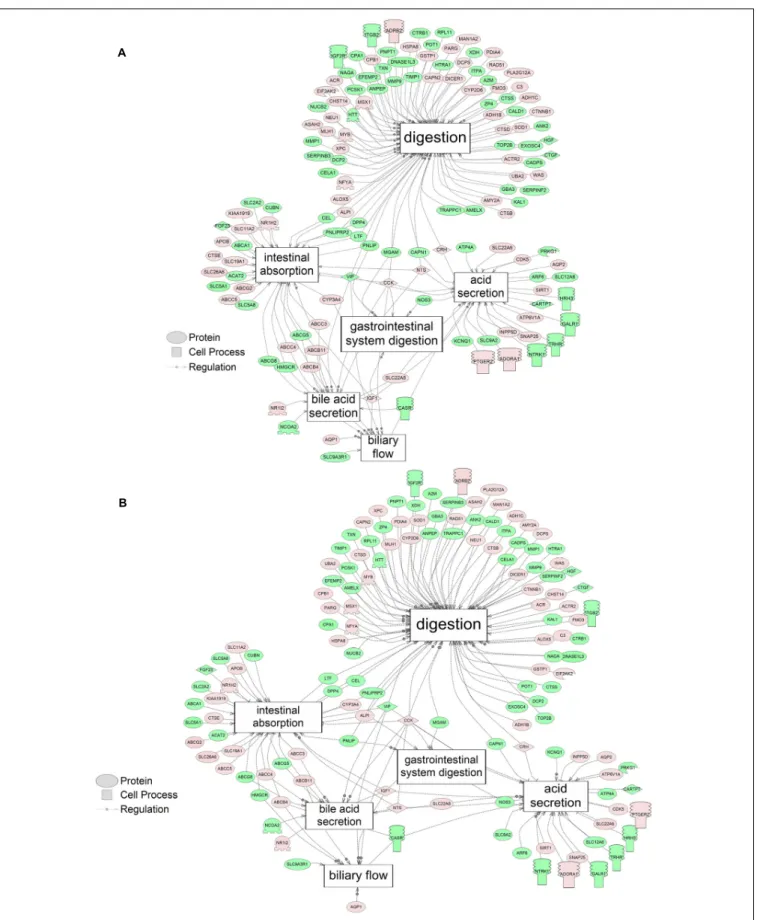 FIGURE 4 | Networks associated with gut function indicating altered gene regulation following exposure of S