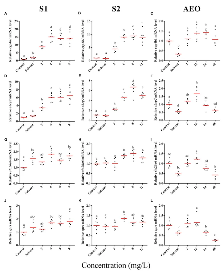 FIGURE 5 | RT-qPCR analysis for cyp4b1 (A–C), abcg2 (D–F), slc26a6 (G–I), and eprs (J–L), mRNA in S