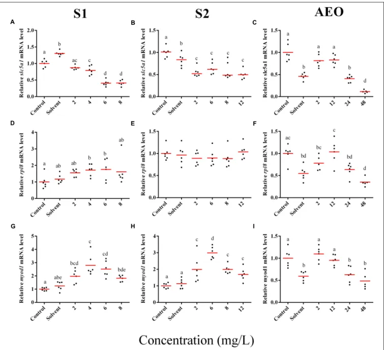 FIGURE 6 | RT-qPCR analysis for slc5a1 (A–C), rpl8 (D–F), and (G–I) myod1 mRNA in S. tropicalis exposed to different concentrations of S1 (first column), S2 (second column), and AEOs (third column)